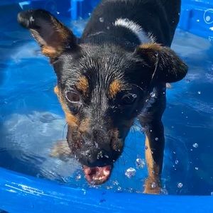 Meet your Posher, Olivia